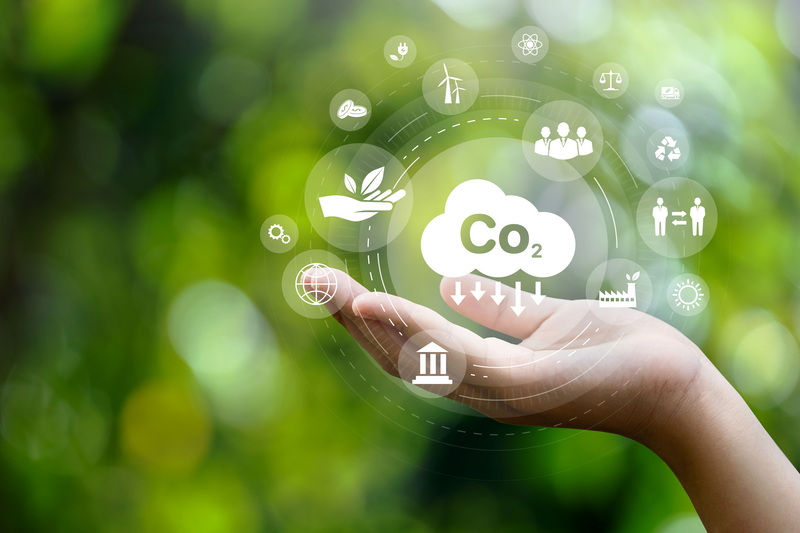 TRAINING CARBON TRADING AND FINANCING
