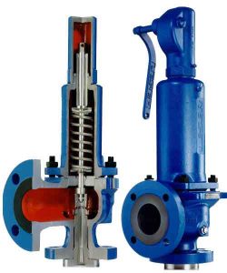 TRAINING PRESSURE SAFETY VALVE SELECTION AND SIZING
