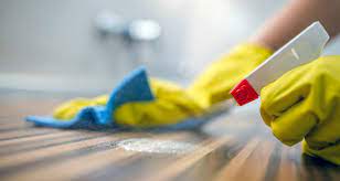 TRAINING PUBLIC AREA CLEANER