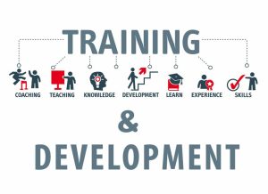 TRAINING TEAM DEVELOPMENT