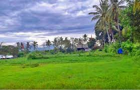 TRAINING ADMINISTRASI PERTAHANAN DESA